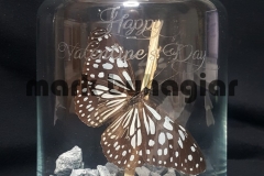 happy-valentines-day-e1478524611985