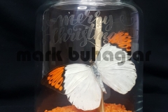 merry-christmas-e1478524589688